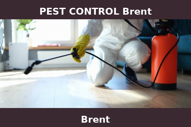 PEST CONTROL Brent